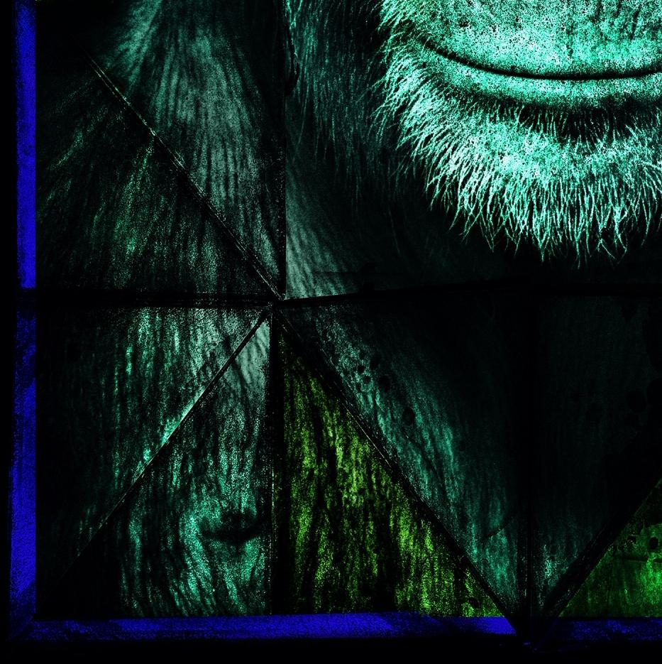 Fumetto Scimmia - Color Photograph Nero di Albert Watson