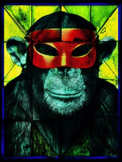 Monkey Comic Book
