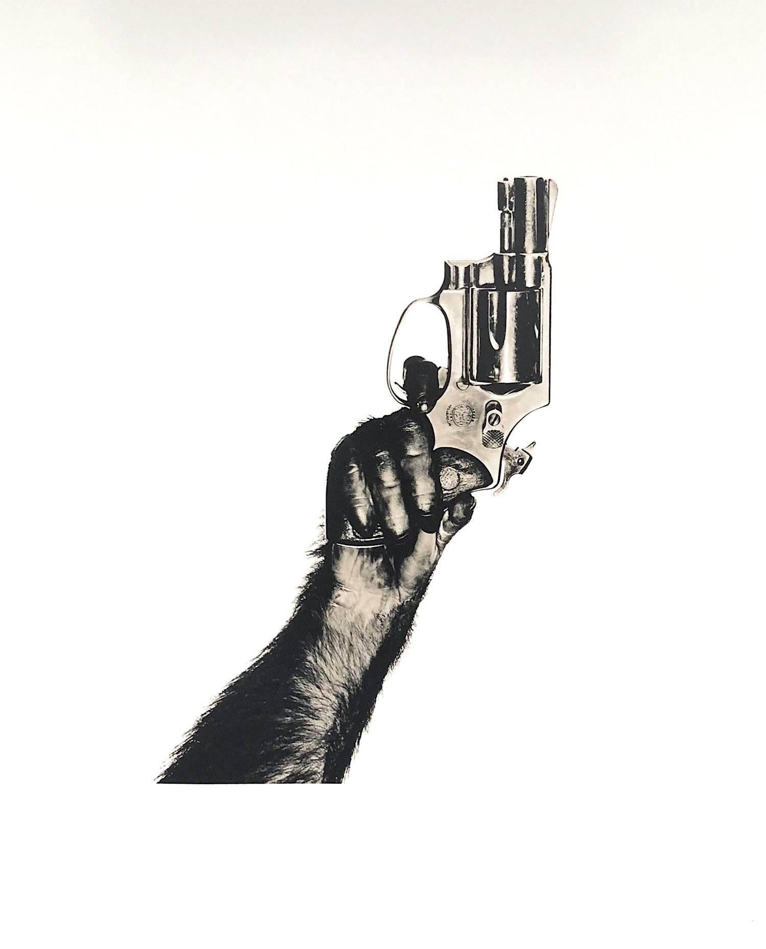 Albert Watson Figurative Photograph - "Monkey with Gun, 1992", Gelatin Silver Print