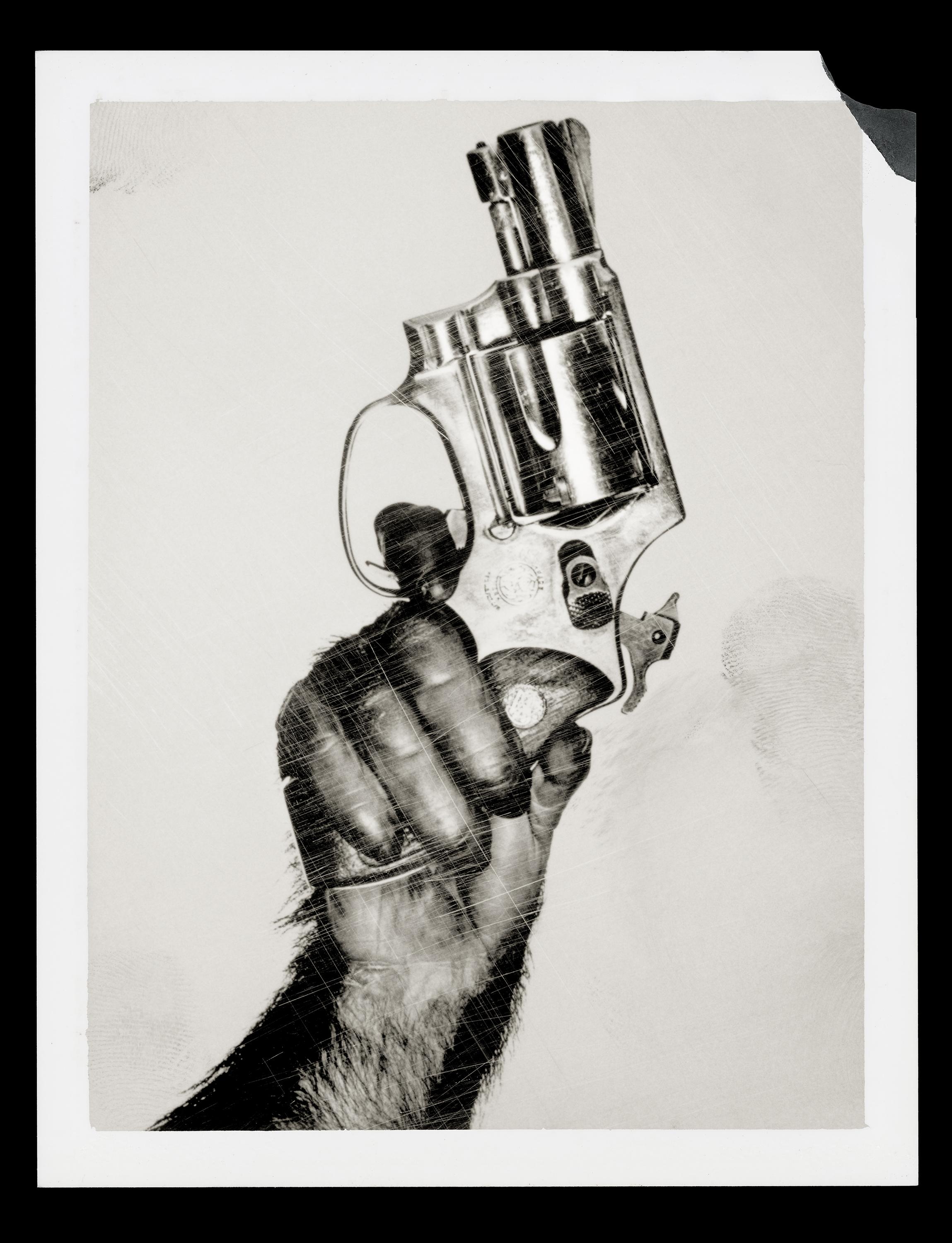 Affe mit Pistole, New York City - Albert Watson, Contemporary, Tier, Druck