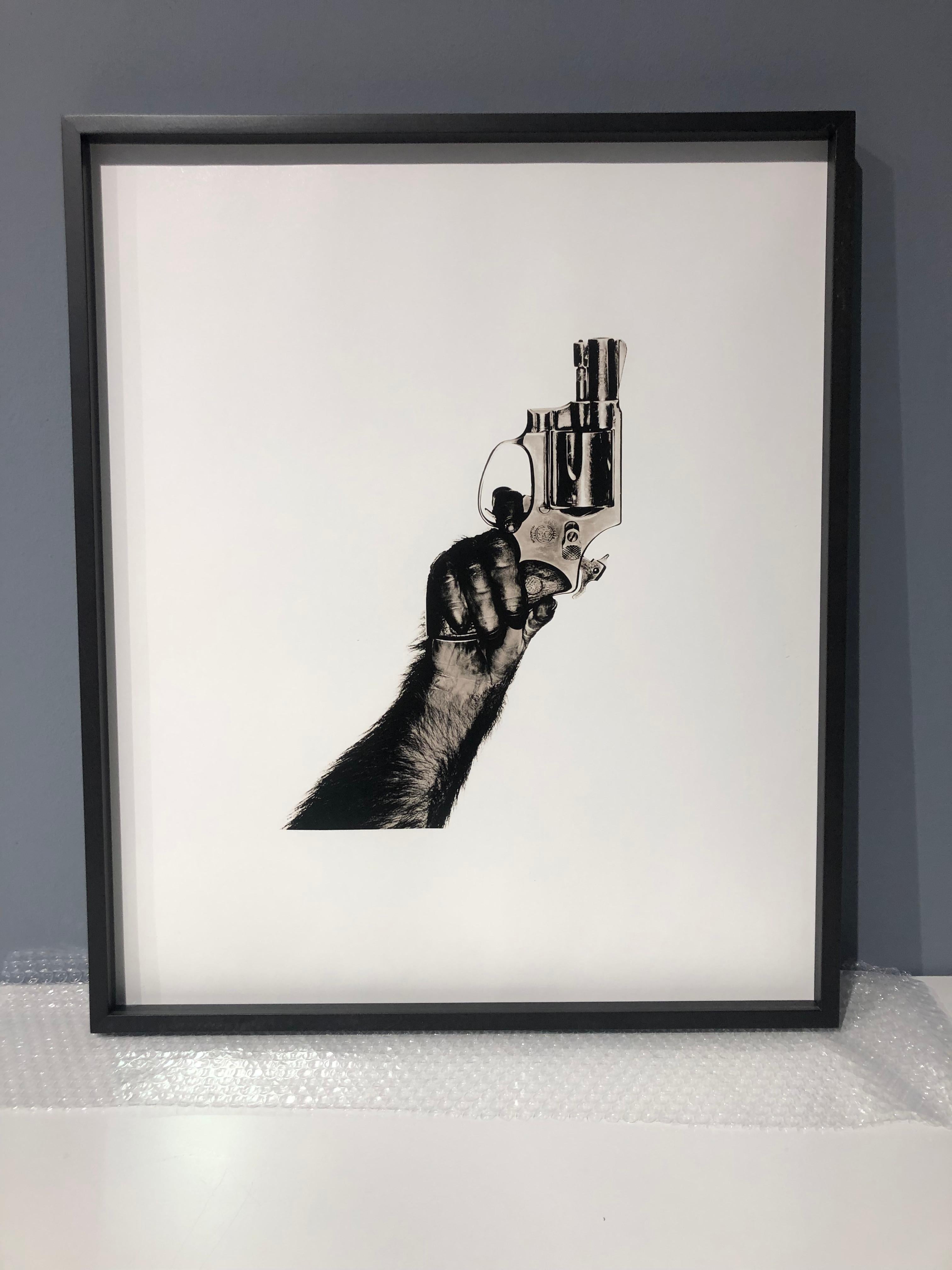 Monkey with Gun, Albert Watson, New York City, Contemporain, Gun, Vintage