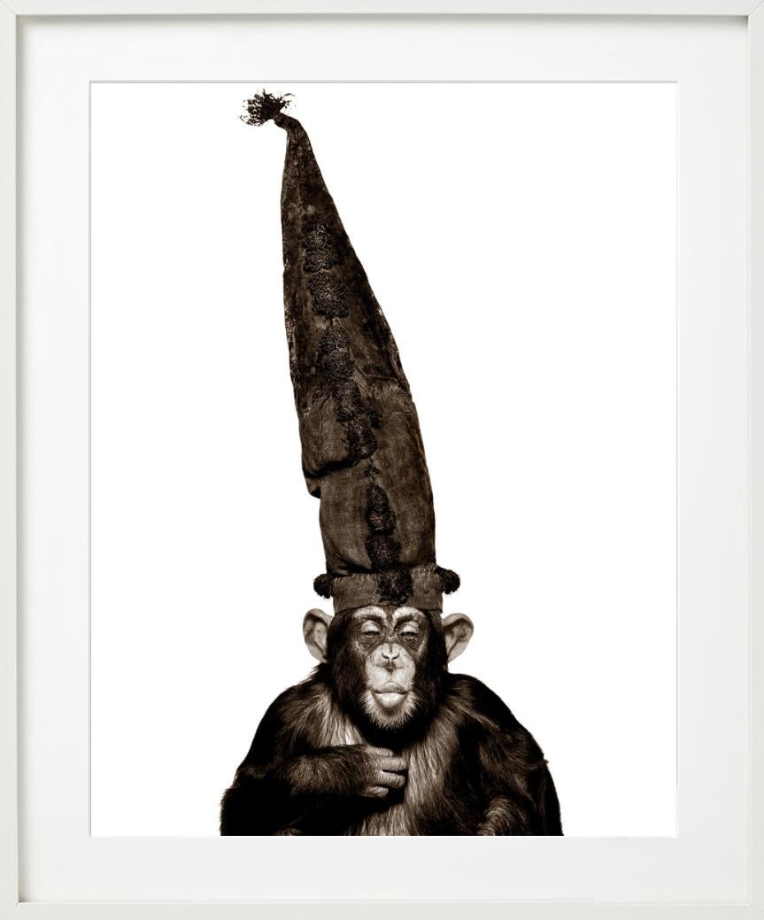 Scimmia con cappello - Serie delle scimmie, Fotografia d'autore 1992 in vendita 5