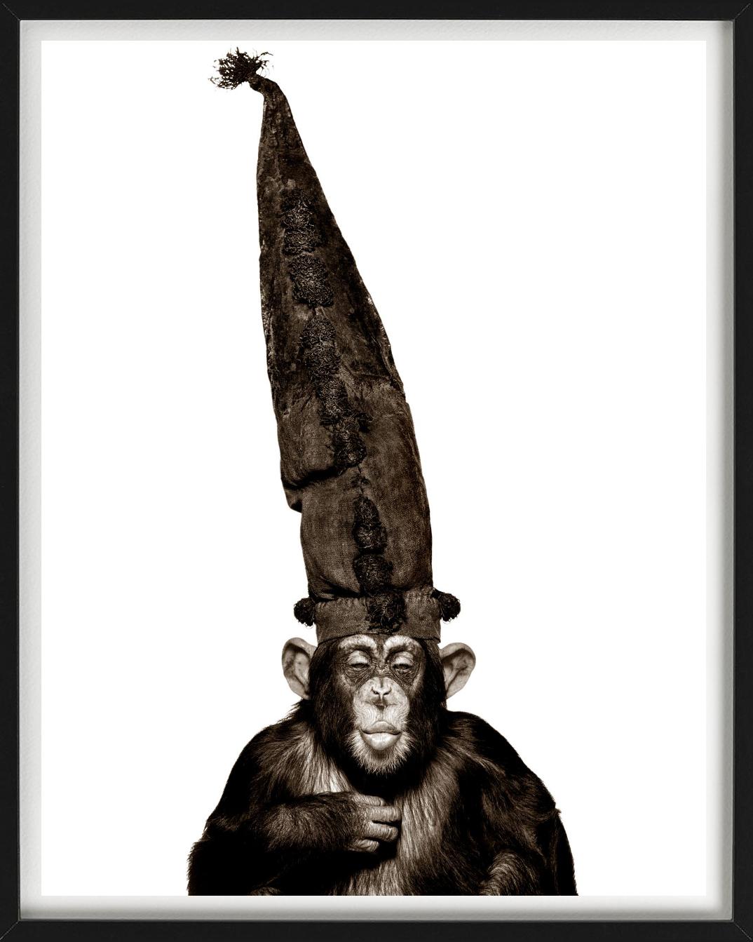 Scimmia con cappello - Serie delle scimmie, Fotografia d'autore 1992 - Photograph Contemporaneo di Albert Watson