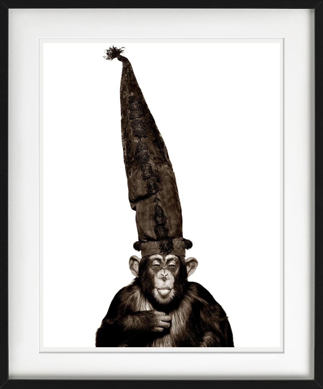 Scimmia con cappello Wizzard, fotografata da Albert Watson nel 1992.

Tutte le stampe sono in edizione limitata. Disponibile in più misure. Cornici di alto livello su richiesta.

Tutte le stampe sono realizzate e firmate dall'artista. Il