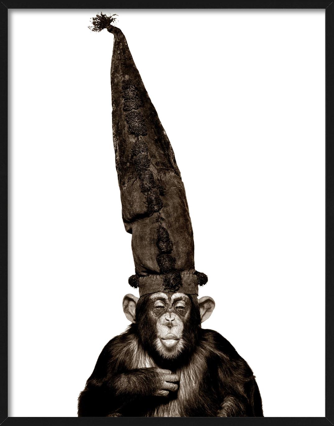 Scimmia con cappello - Serie delle scimmie, Fotografia d'autore 1992 in vendita 1