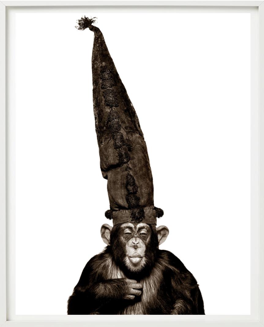 Scimmia con cappello - Serie delle scimmie, Fotografia d'autore 1992 in vendita 3