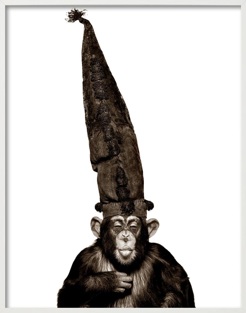 Scimmia con cappello - Serie delle scimmie, Fotografia d'autore 1992 in vendita 4