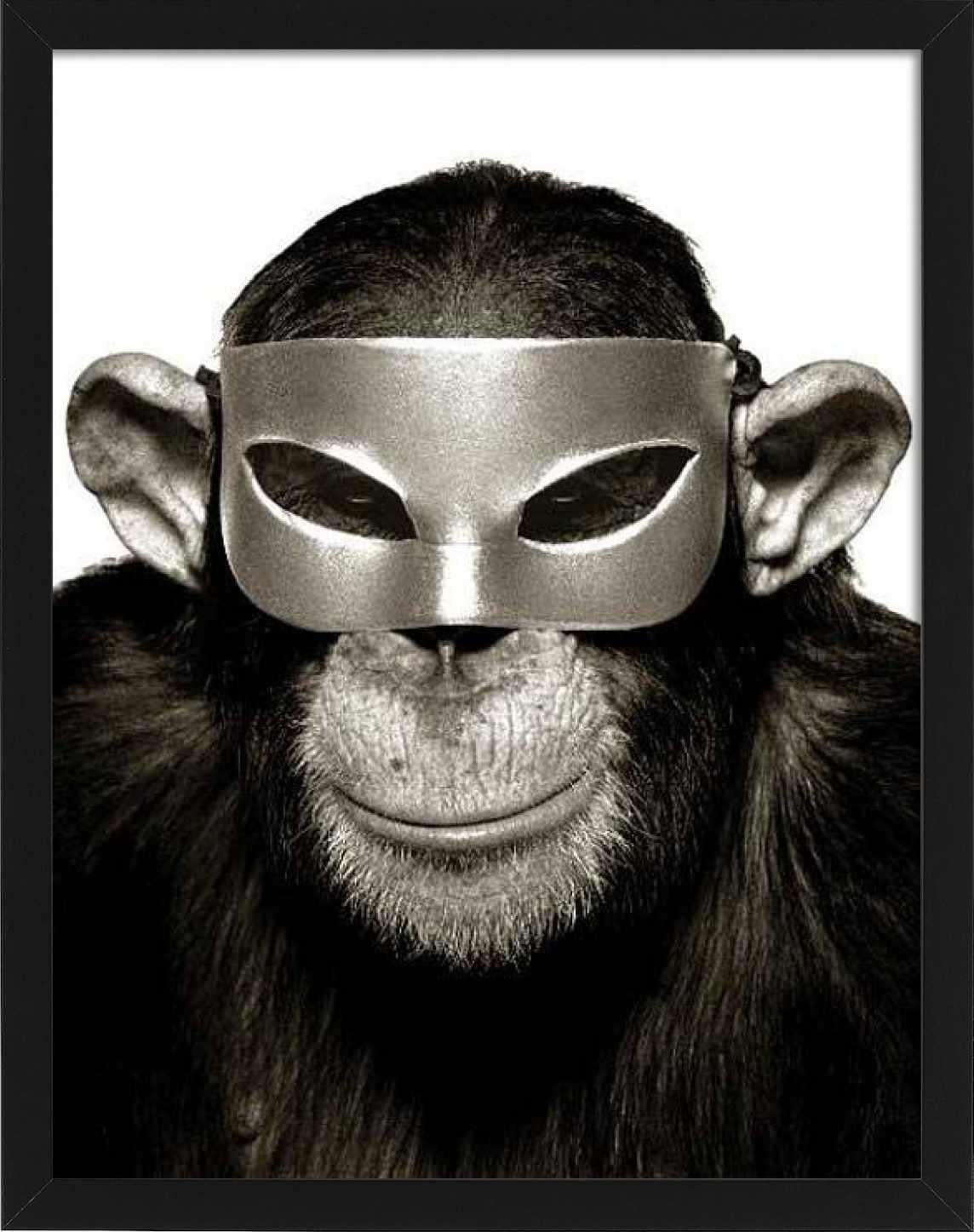 Monkey with Mask - animal portrait with mask, fine art photography, 1992 For Sale 2