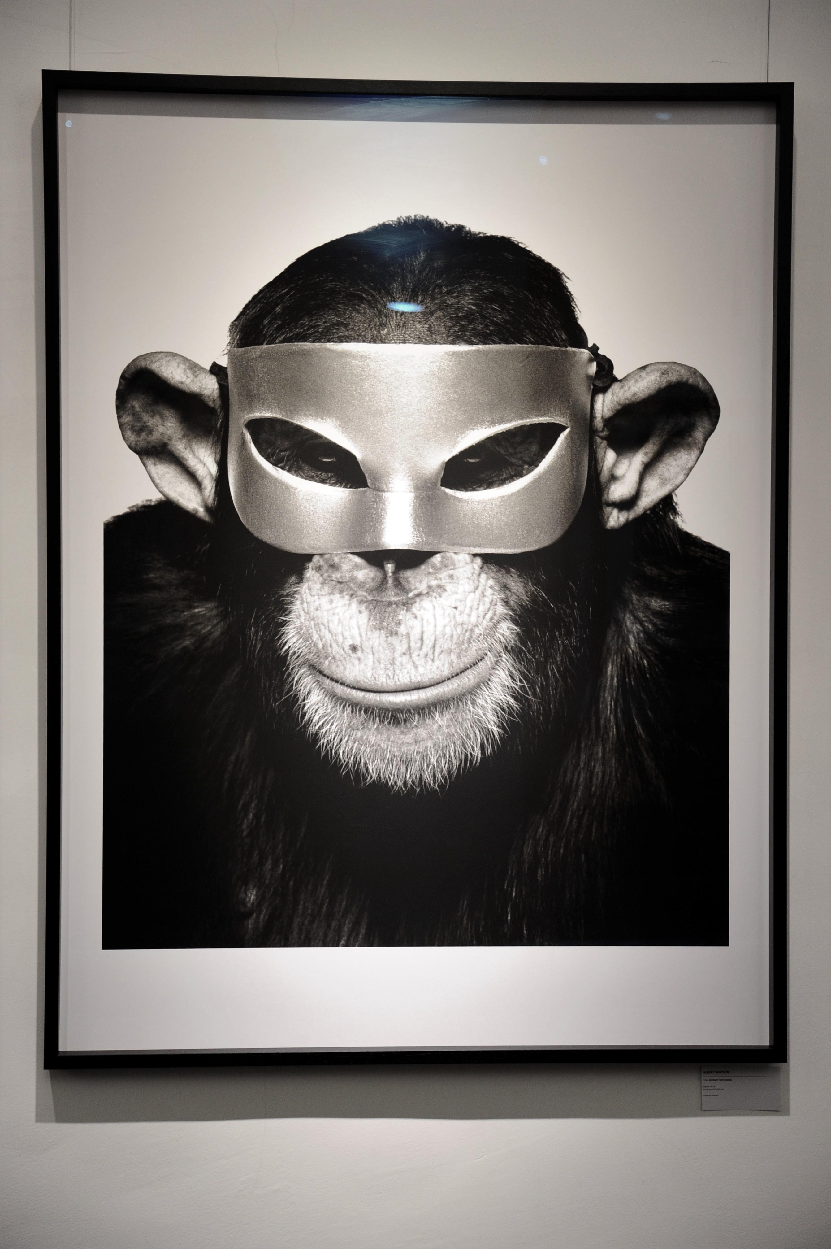 Monkey with Mask - animal portrait of a chimp with mask.  - Photograph by Albert Watson