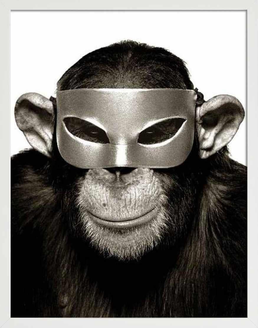 Monkey with Mask - animal portrait with mask, fine art photography, 1992 - Contemporary Photograph by Albert Watson