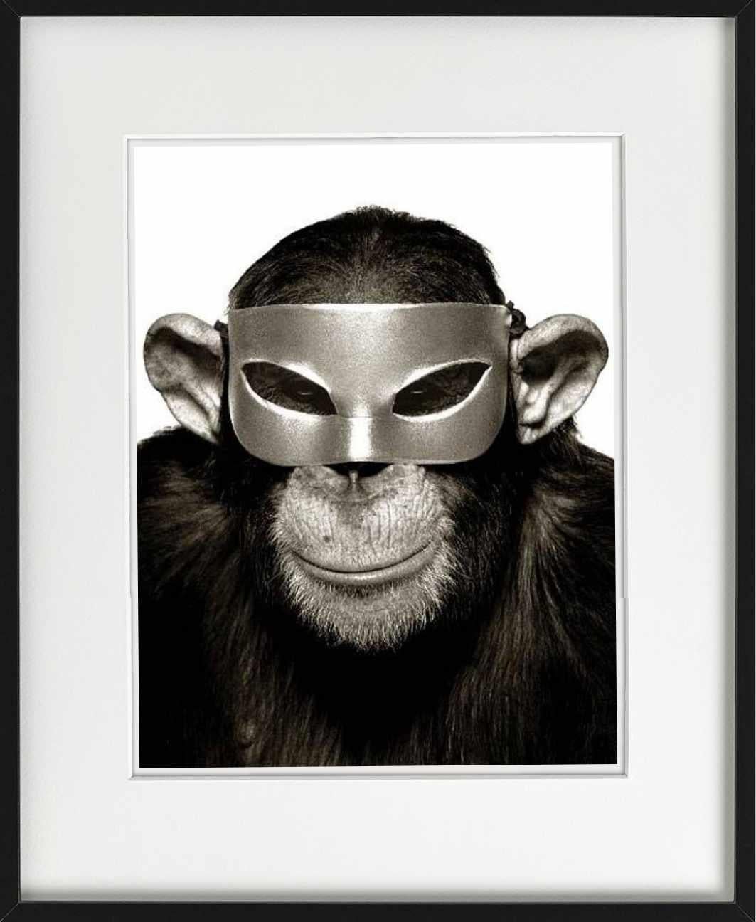 Affen mit Maske – Tierporträt mit Maske, Kunstfotografie, 1992 im Angebot 3