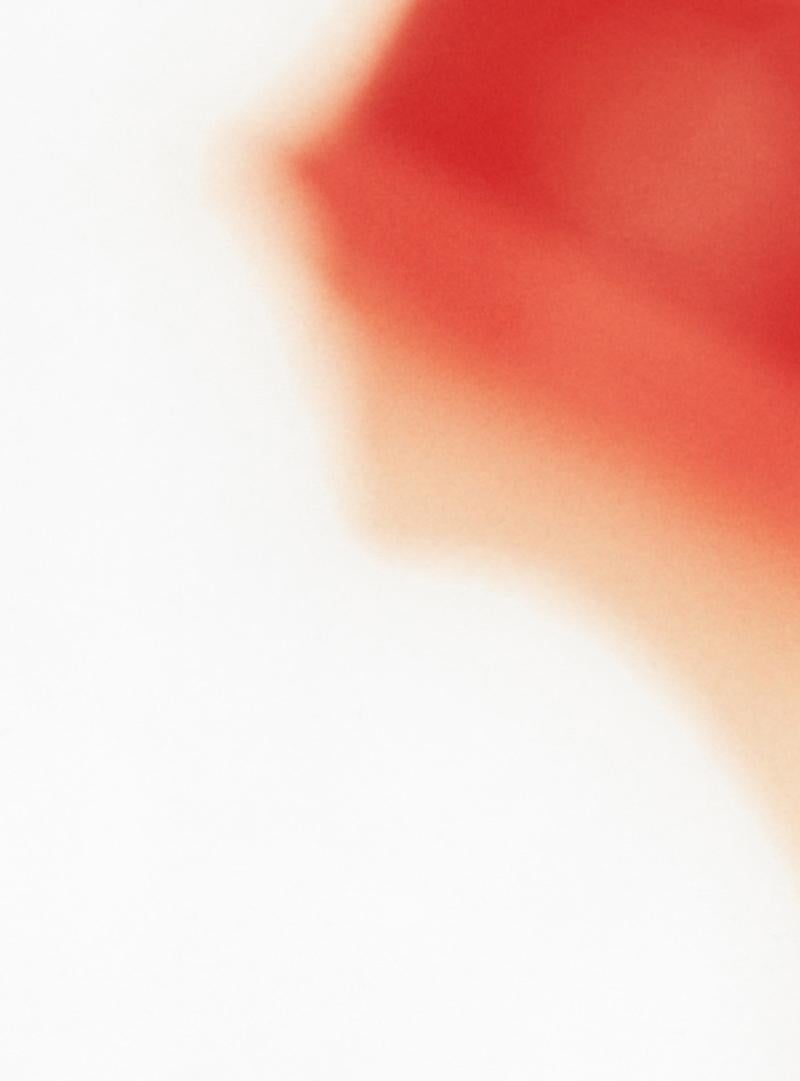 Roter Hut, Paris Albert Watson, Porträt, figürlich, Fotografie, abstrakt im Angebot 3