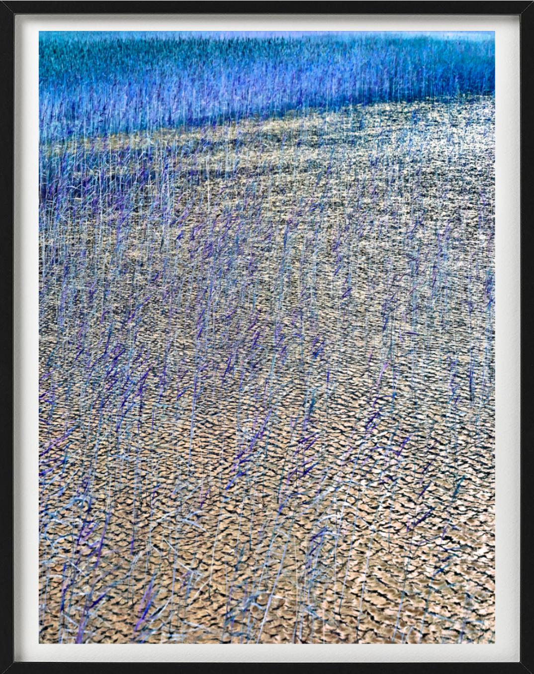 'Schilf in Loche I' - See in Blau und Gelb, Kunstfotografie, 2013 (Zeitgenössisch), Photograph, von Albert Watson