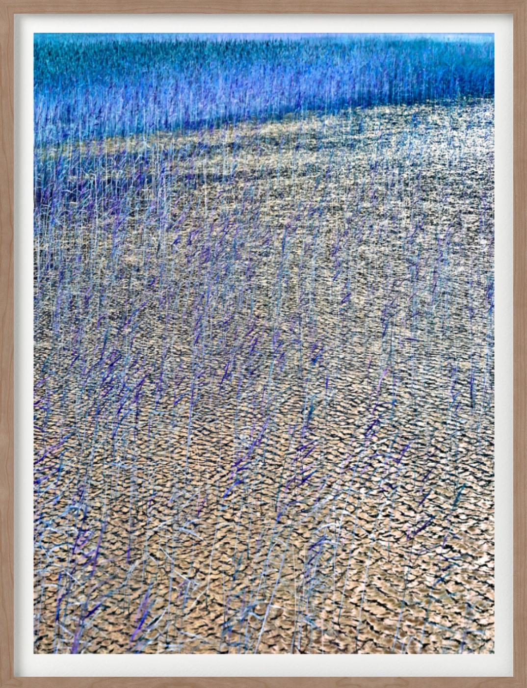 'Schilf in Loche I' - See in Blau und Gelb, Kunstfotografie, 2013 im Angebot 1