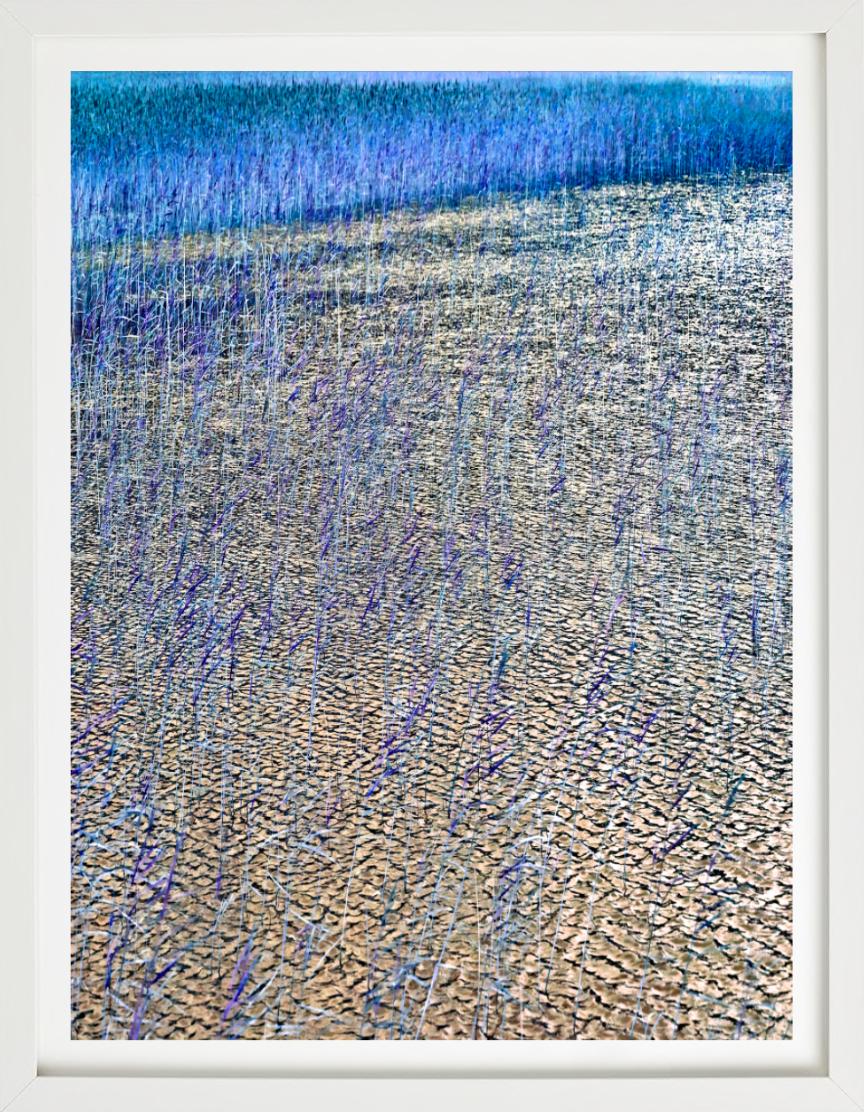 'Schilf in Loche I' - See in Blau und Gelb, Kunstfotografie, 2013 im Angebot 2