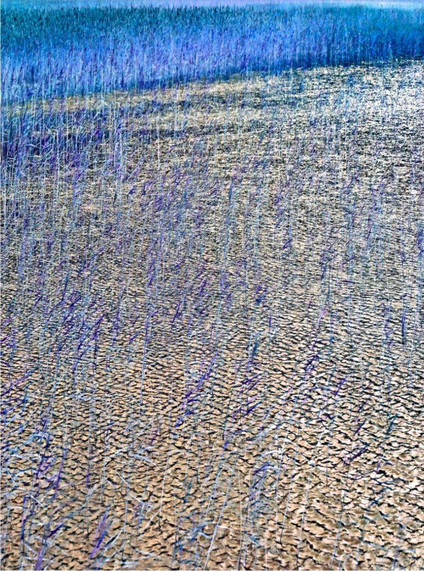 Albert Watson Color Photograph – 'Schilf in Loche I' - See in Blau und Gelb, Kunstfotografie, 2013