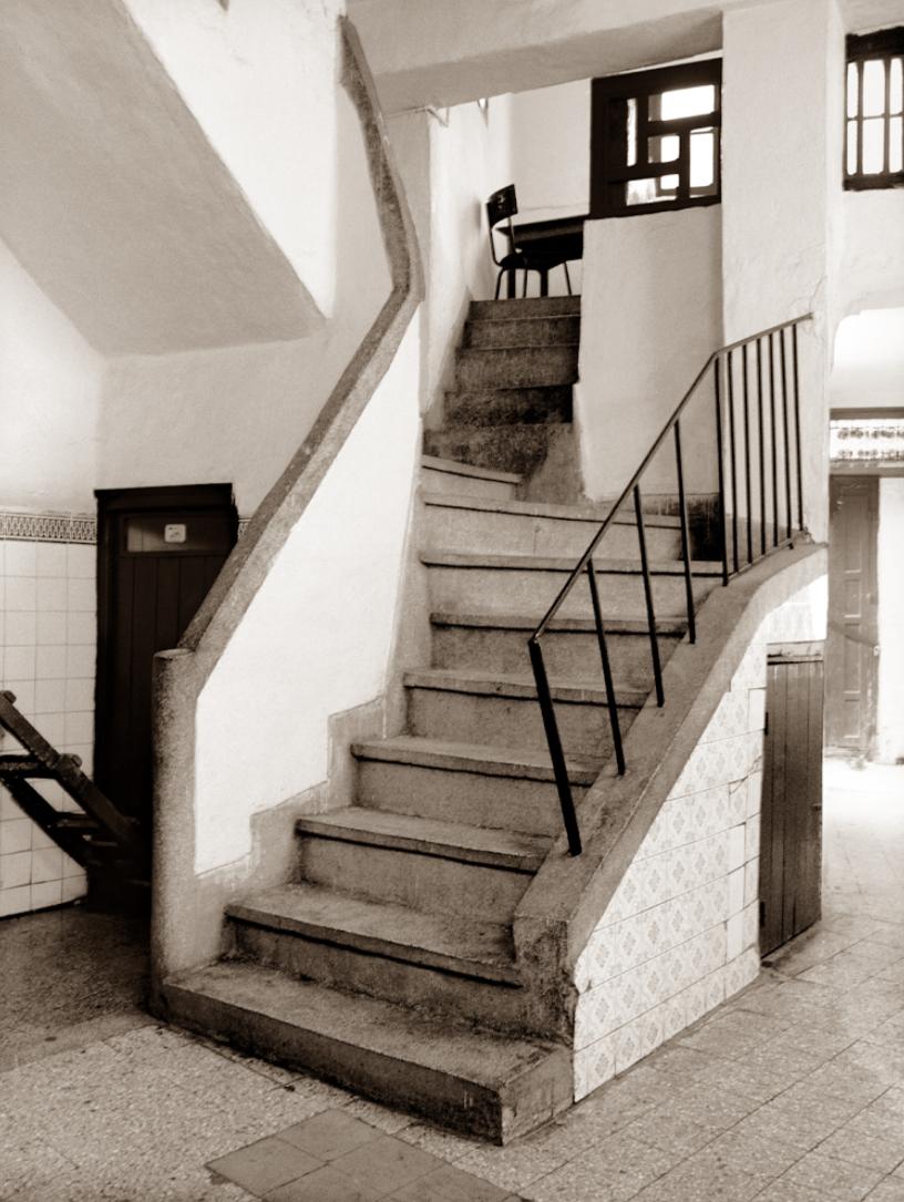 Vertical Black and White Photography