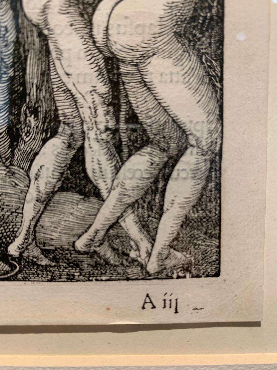 'Adam and Eve Expelled from Eden' by Albrecht Dürer, Woodcut Print For Sale 6