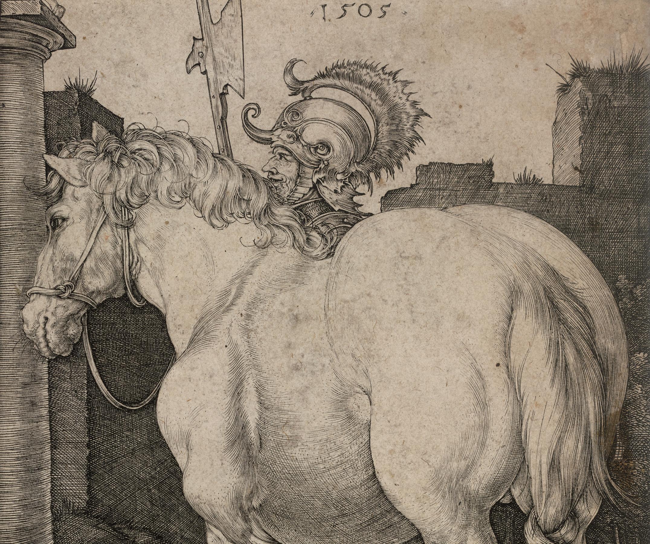Il grande cavallo di Albrecht Dürer in vendita 2