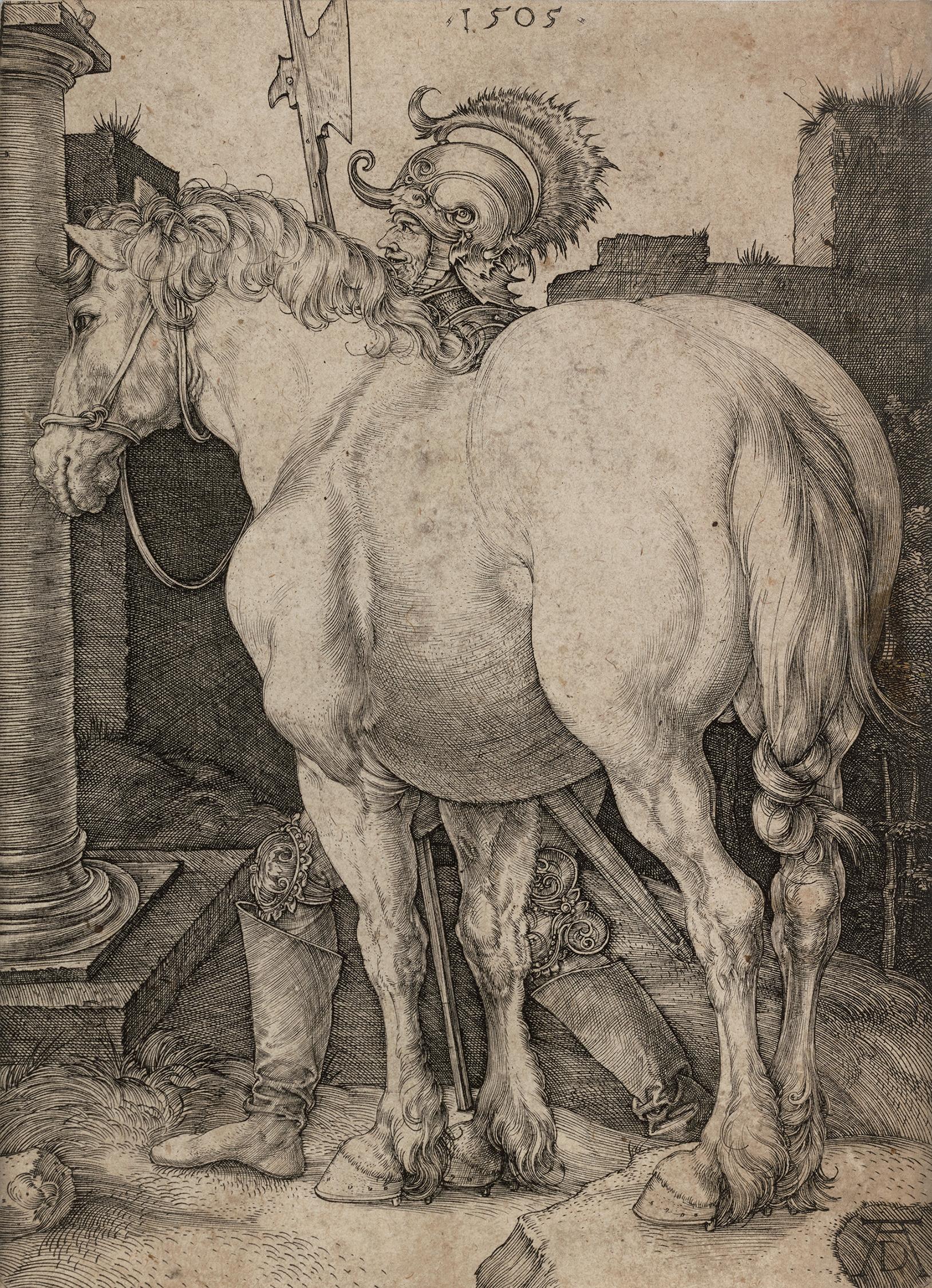 El caballo grande de Albrecht Dürer