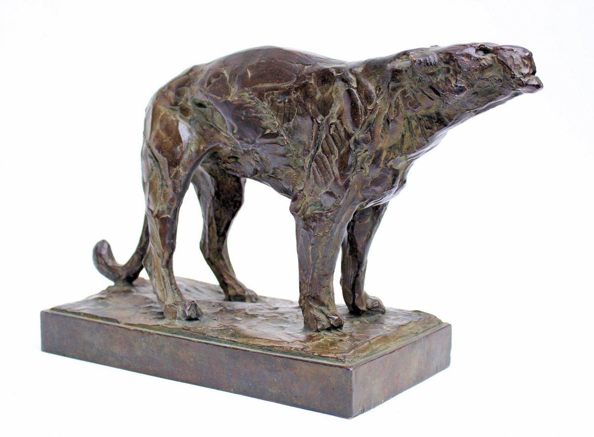 Modelo en bronce de gran calidad del siglo XX de una leona rugiente, obra de Alberic Collin (belga, 1886-1962). Antes de ser fundida por la Valsuani Foundry, fue firmada y sellada. Esta pieza de fundición tiene una rica pátina marrón oscura con
