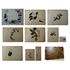 Album Floral and Botanical Watercolors to Elizabeth Carr of St. Annes, 1820