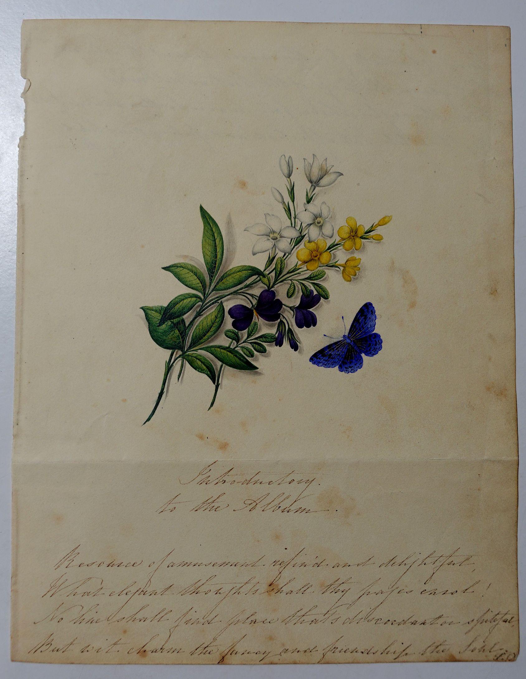 Album Floral and Botanical Watercolors to Elizabeth Carr of St. Annes, 1820 For Sale 7