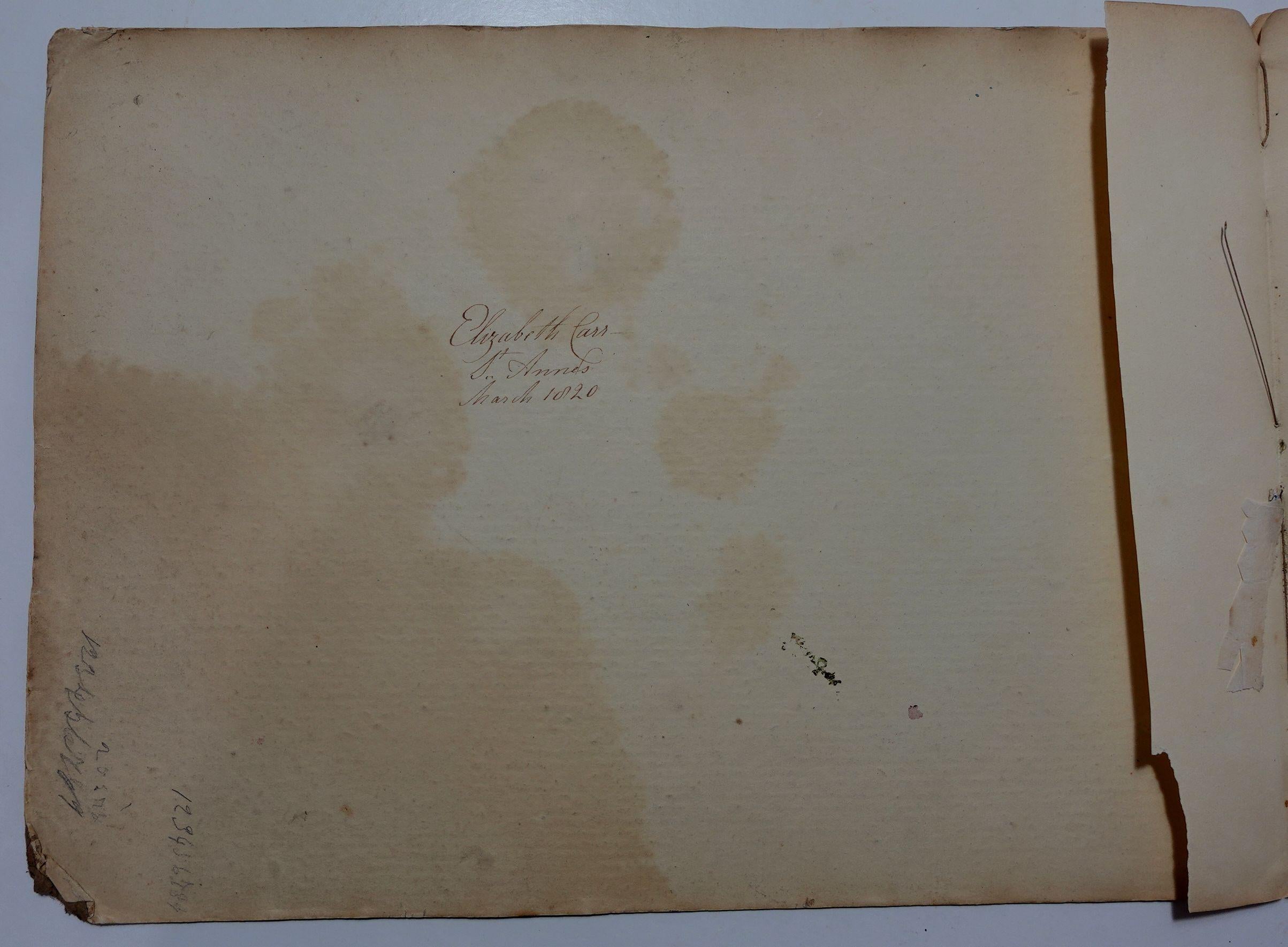 Album Floral and Botanical Watercolors to Elizabeth Carr of St. Annes, 1820 For Sale 10