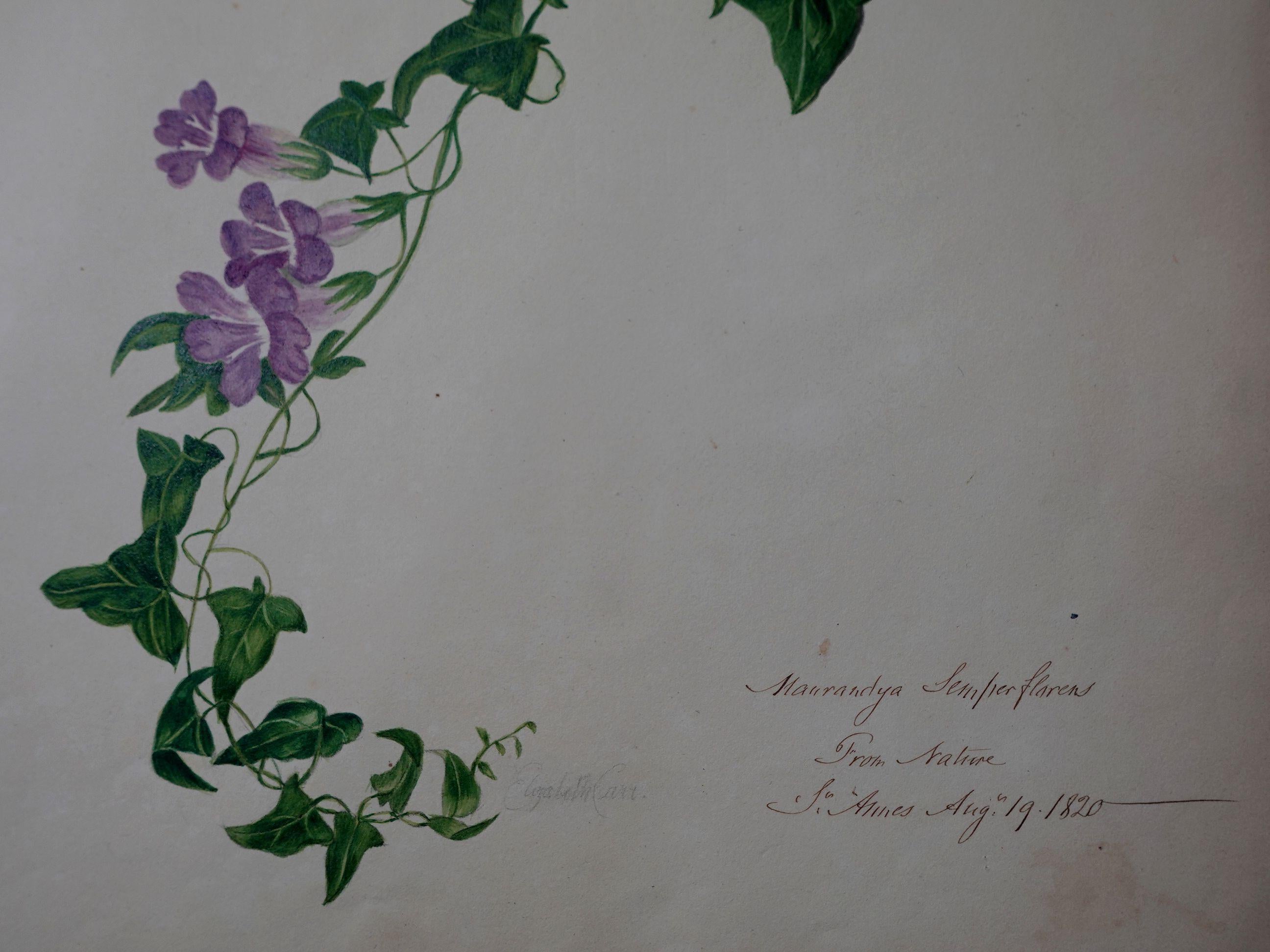 Paper Album Floral and Botanical Watercolors to Elizabeth Carr of St. Annes, 1820 For Sale