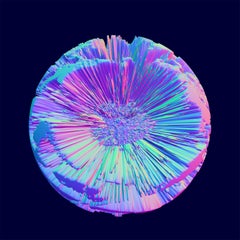 C Print Sculptures