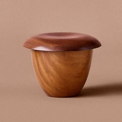 Aldo Bakker 'Bon' Wood Stool in Stained Ash by Karakter, Denmark