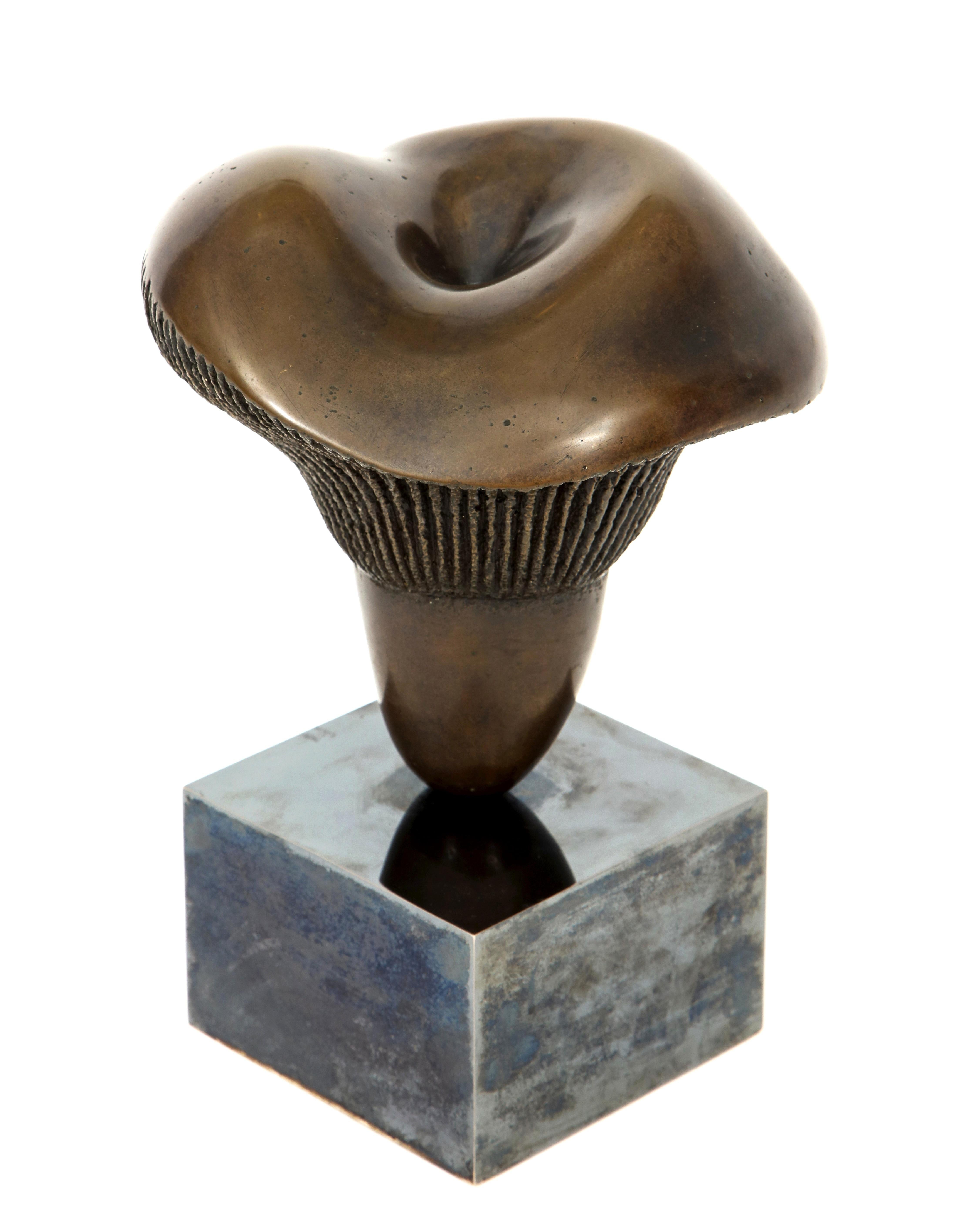 Bronze Pilz-Skulptur von Aldo Casanova (amerikanisch) im Angebot