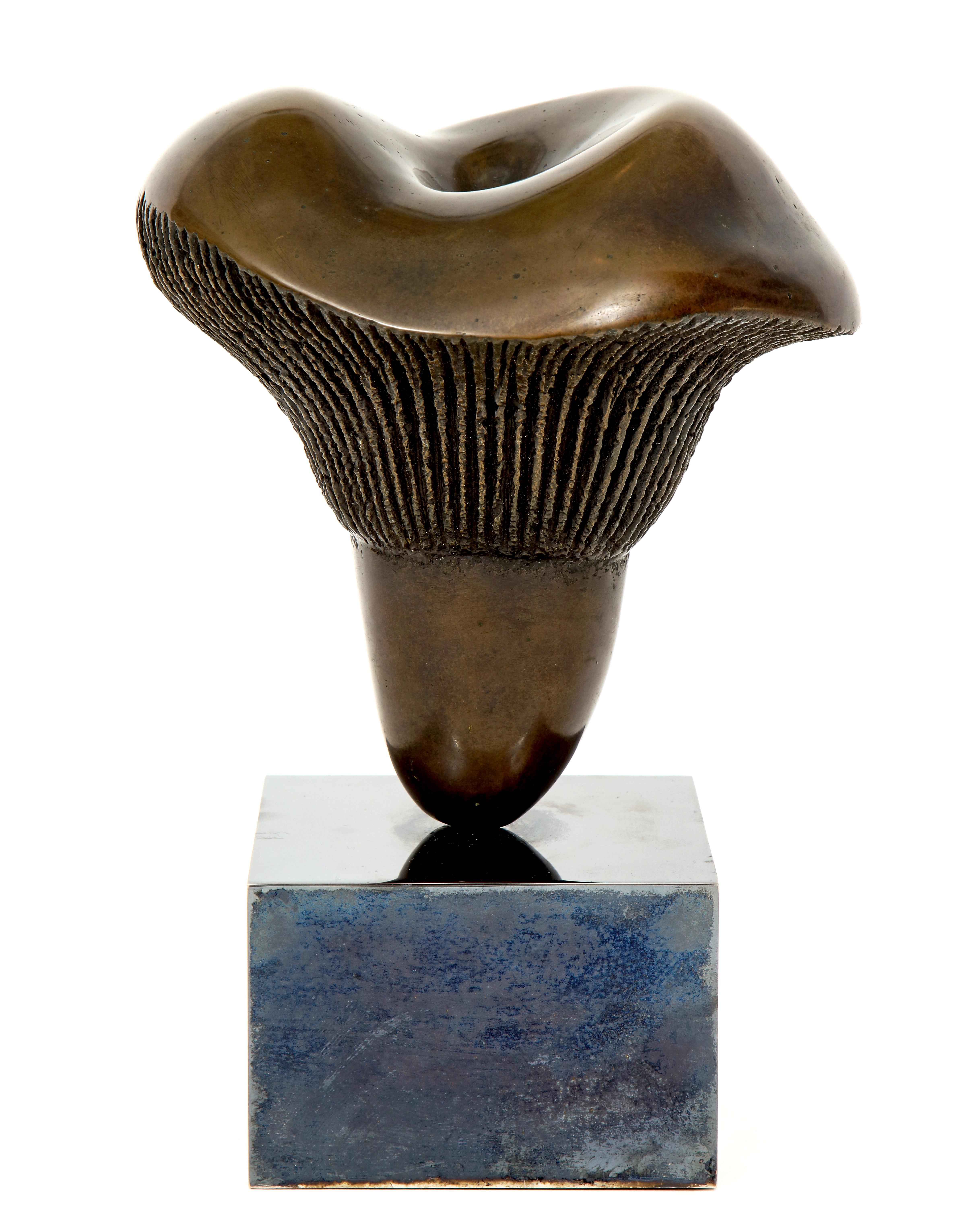 Bronze Pilz-Skulptur von Aldo Casanova im Zustand „Gut“ im Angebot in New York, NY