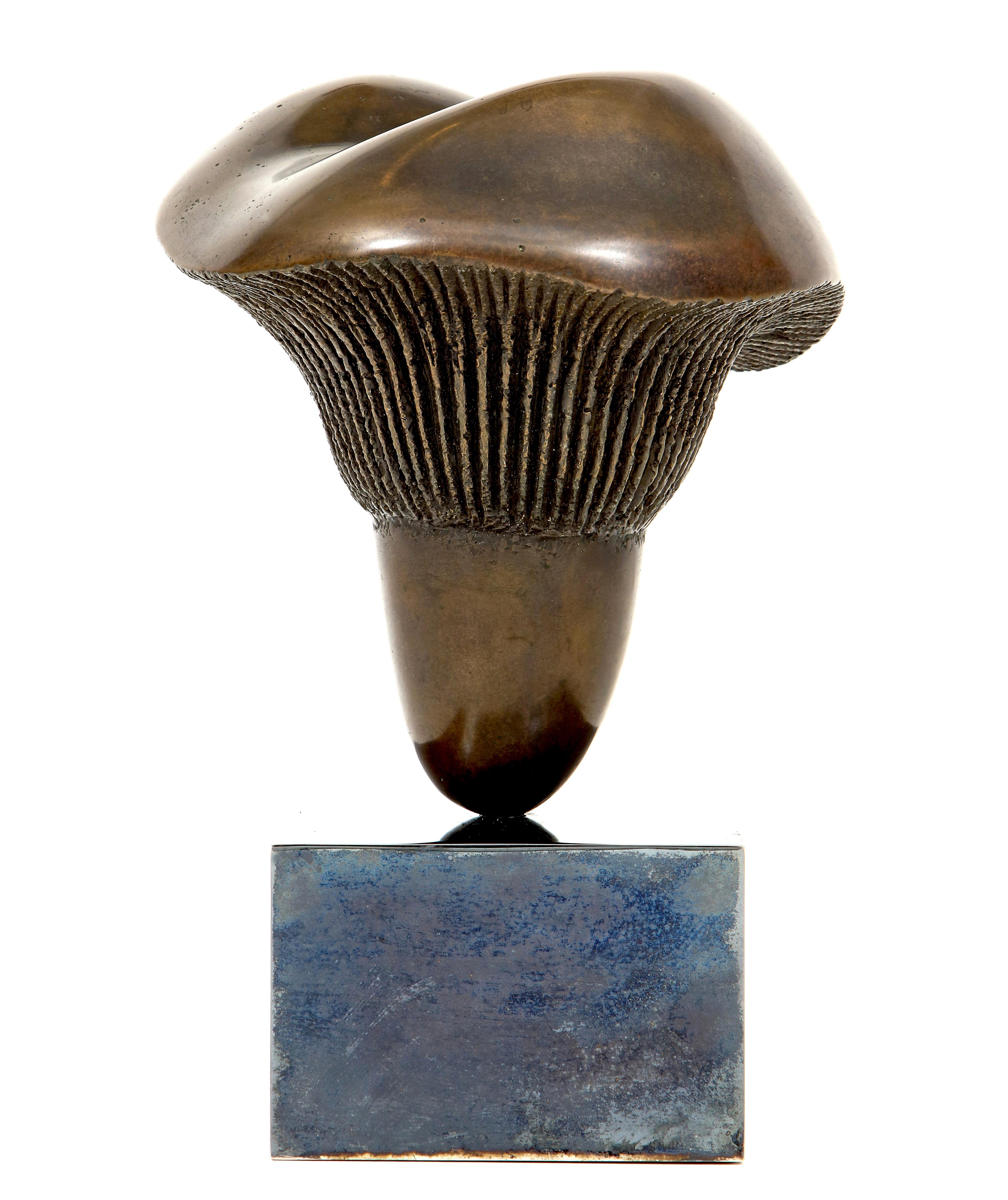 Bronze Pilz-Skulptur von Aldo Casanova (Versilberung) im Angebot