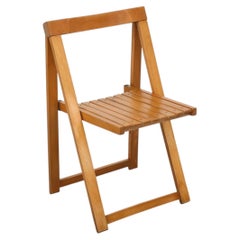 Aldo Jacober & d'Aniello Folding Chair for Alberto Bazzani, 1960