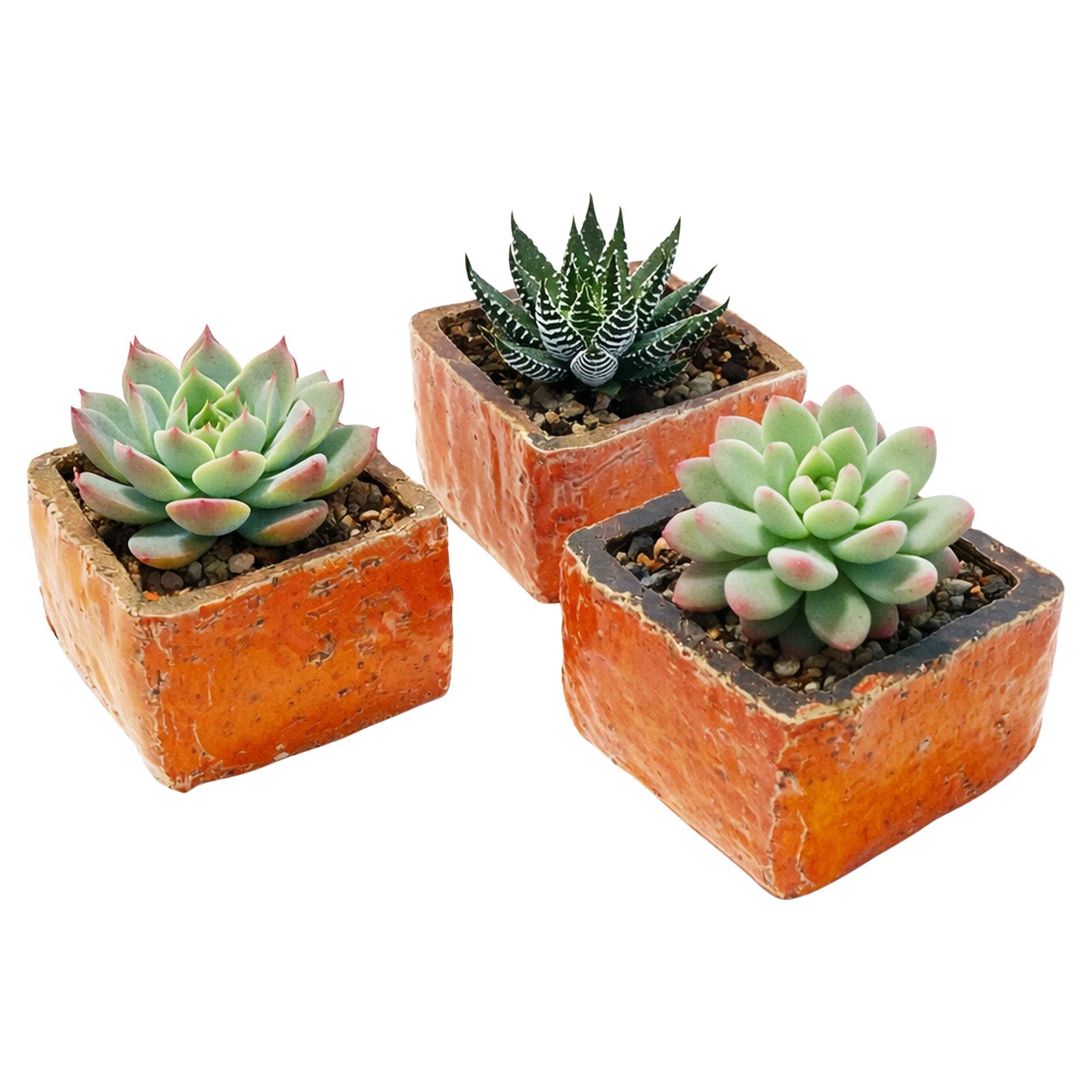 Aldo Londi Bitossi Style 3 Orange Square Planters or Cachepots -- West Germany
