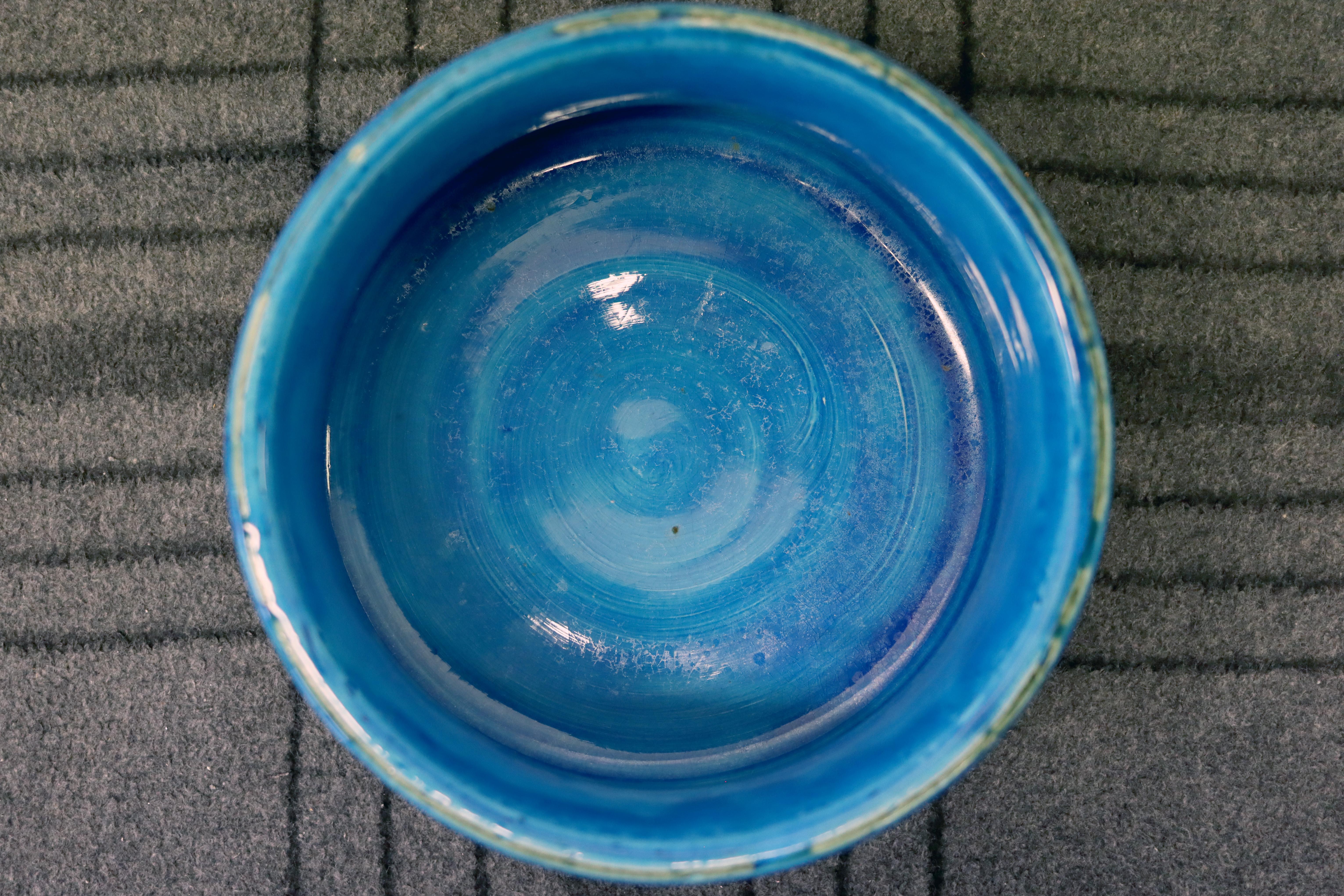 Aldo Londi Flavia Bitossi Rimini Blue Italian Ceramic Bowl 1
