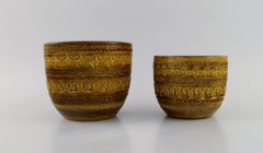 Aldo Londi for Bitossi, Two Flower Pots in Mustard Yellow Glazed Ceramics