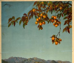 Original Vintage Italy Travel Poster Stresa Borromeo Lake Maggiore Islands ENIT