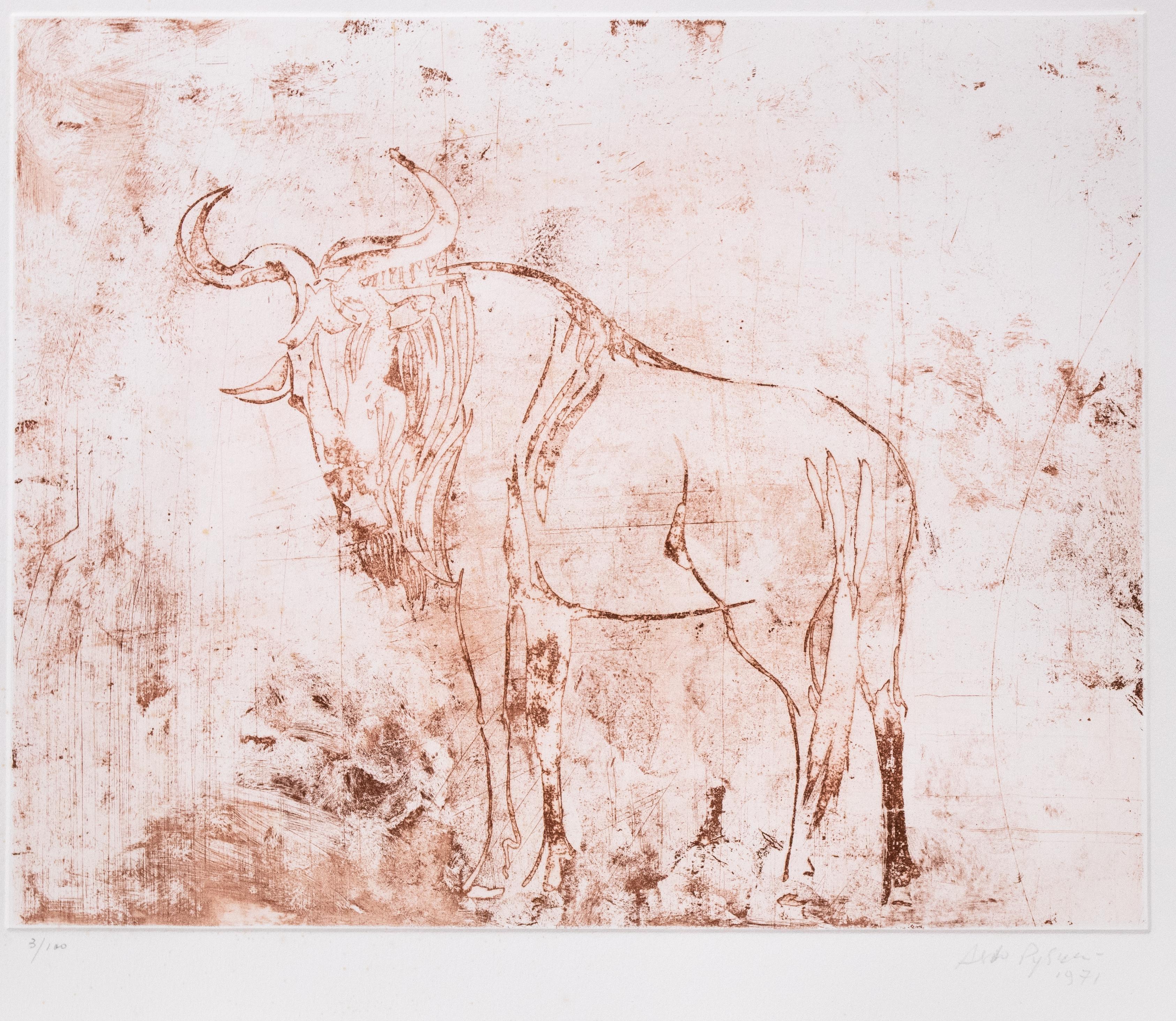 Buffalo - Original Etching on Paper by Aldo Pagliacci - 1971 For Sale 1