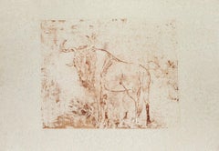 Buffalo - Original Etching on Paper by Aldo Pagliacci - 1971
