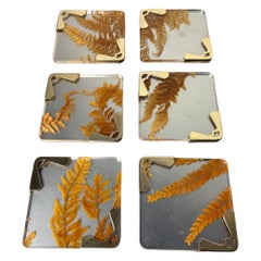 Sous-verres « Aldo Tura Style » en lucite avec des feuilles séchées, lot de 6, Italie, vers 1970'