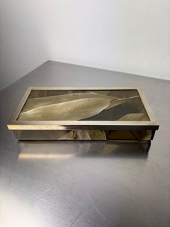 Aldo Tura Style vanity Box in lucite with dry tabaco leaves, 1970's