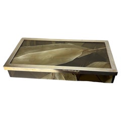 Aldo Tura Style vanity Box in lucite with dry tabaco leaves, 1970's
