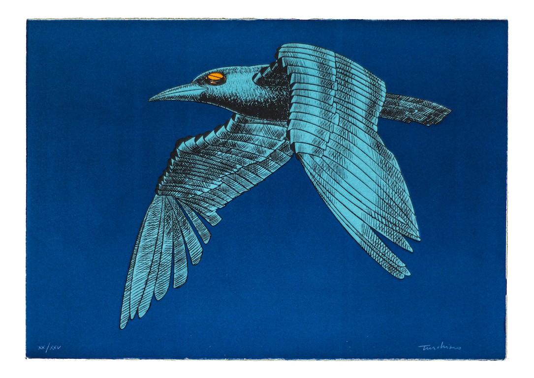 Bird est une lithographie originale réalisée par Aldo Turchiaro en 1980.

signé à la main en bas à droite.

numérotée, édition XX/XXV.

bonnes conditions sauf pour les marges vieillies.

L'œuvre d'art représente un oiseau mécanique avec une éclosion