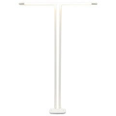 Aldo van den Nieuwelaar TC1 Floor Lamp Domani Designs, 1969