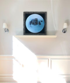 Oiseaux lenticulaires - photo, blanc, bleu ciel, noir