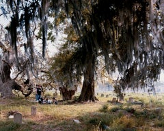 Holt Cemetery, New Orleans, LA - Alec Soth (Photography)