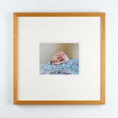 Alec Soth “Sydney. Tallahassee, Florida" Original Signed & Framed Print, 2004