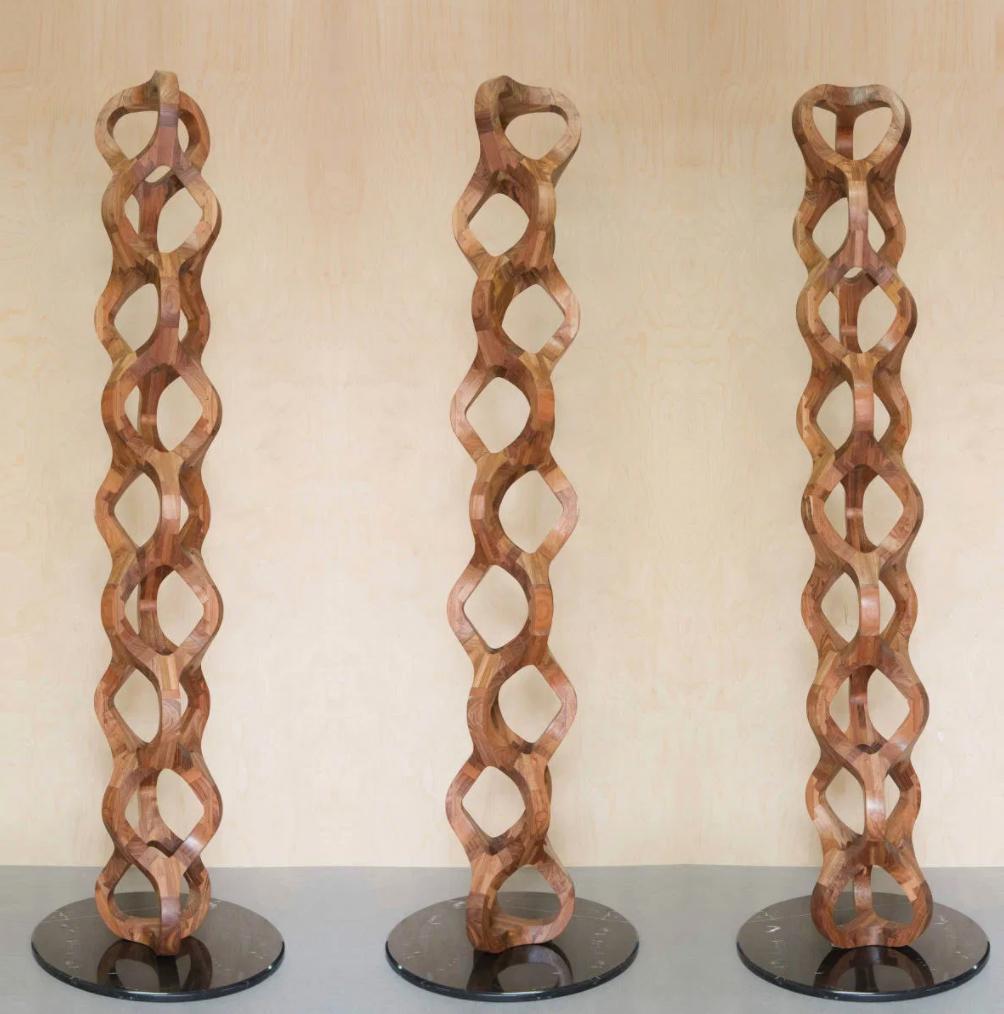 Mexican Contemporary Wood Sculpture in Tzalam Wood from Mexico  For Sale